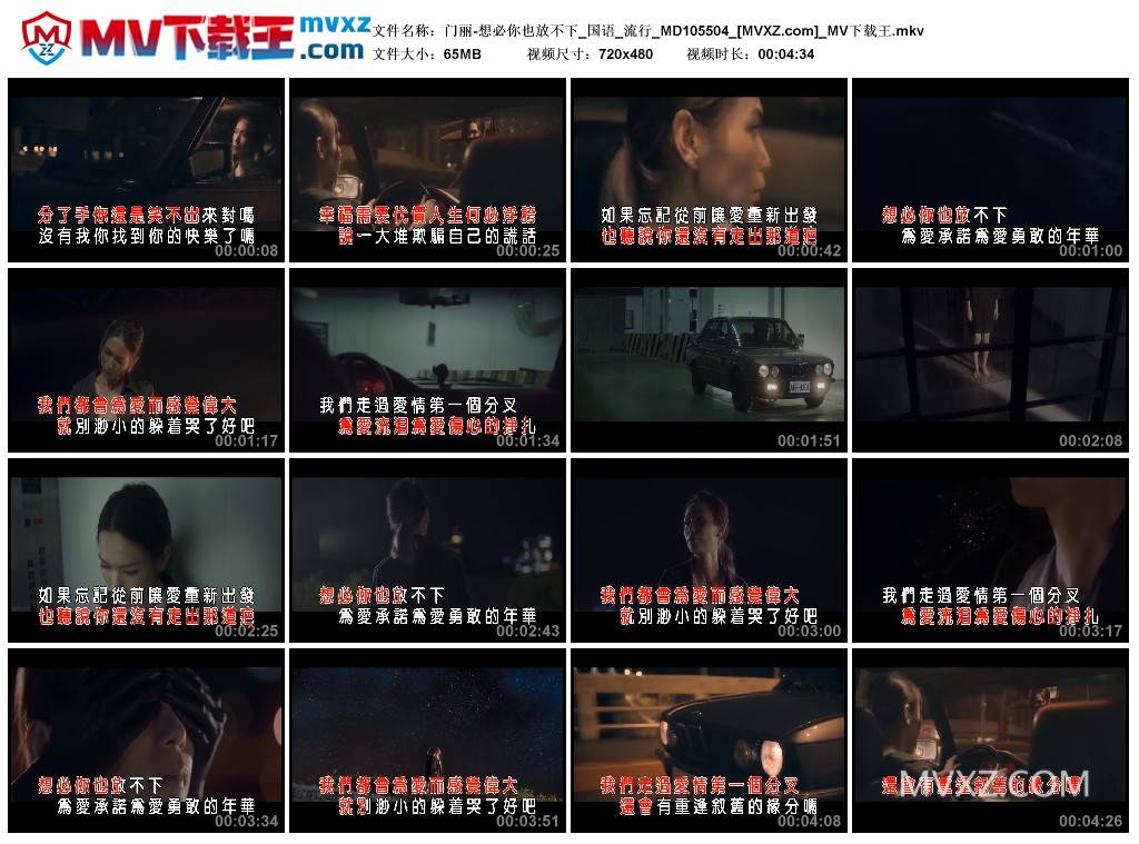 门丽-想必你也放不下_国语_流行_MD105504